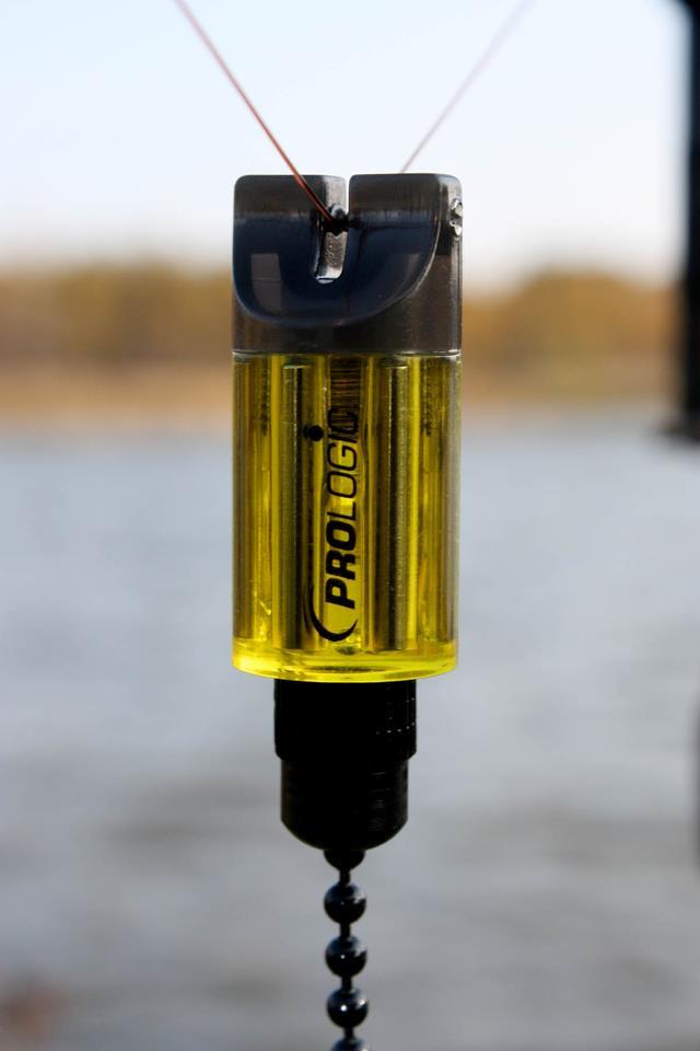 PROLOGIC - 384533255384961187744485710526n.jpg